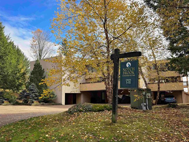1307 Notchbrook Road 11 ABC, Stowe, VT 05672