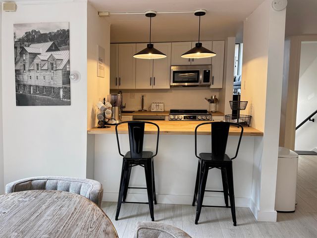 1307 Notchbrook Road 11 ABC, Stowe, VT 05672