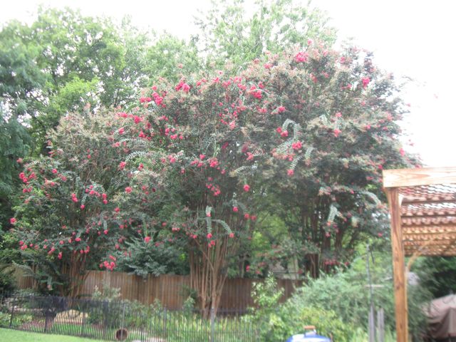 1003 Lawndale Dr, Murfreesboro, TN 37129