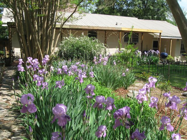 1003 Lawndale Dr, Murfreesboro, TN 37129