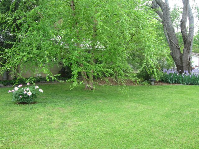 1003 Lawndale Dr, Murfreesboro, TN 37129