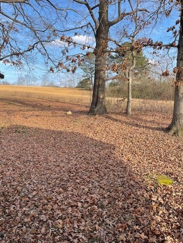 9 Silverton Dr, Summertown, TN 38483