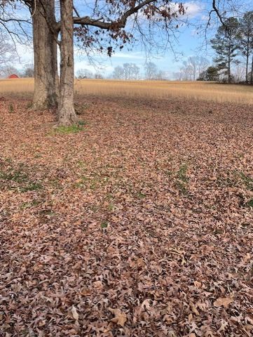 9 Silverton Dr, Summertown, TN 38483