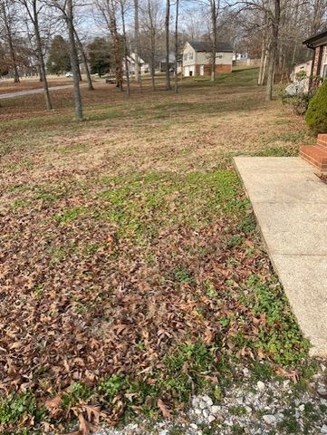 9 Silverton Dr, Summertown, TN 38483