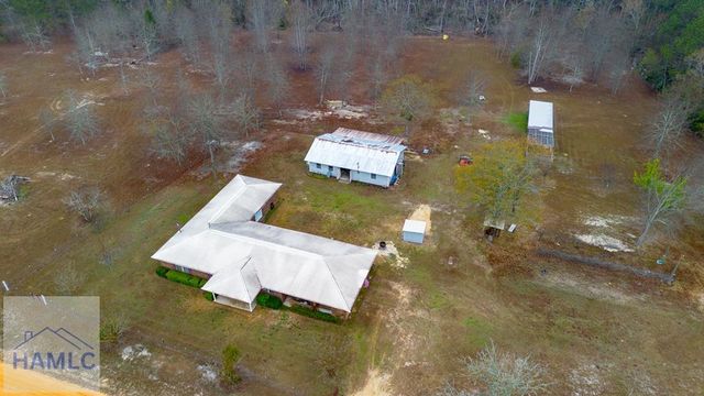 195 Mollie Bowen Lane, Cobbtown, GA 30420