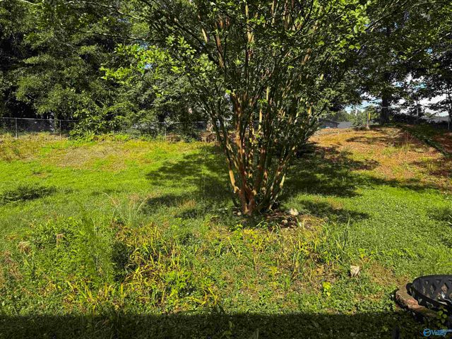 3197 Hawthorne Circle, Southside, AL 35907