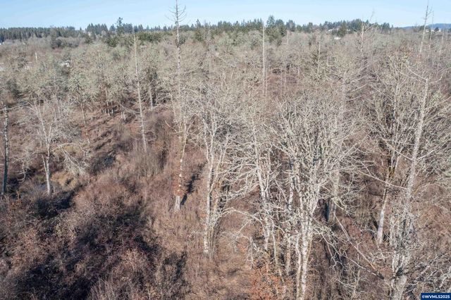 35388 Richardson Gap (next to) Rd, Lebanon, OR 97355