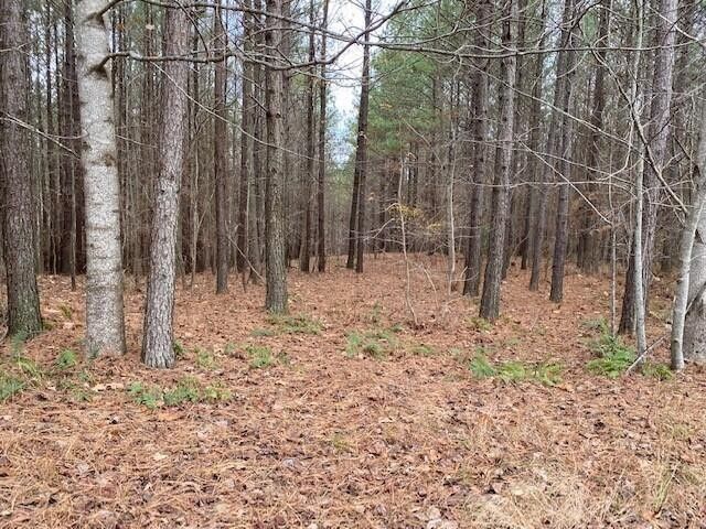 54 Mokay View Drive, South Pittsburg, TN 37380