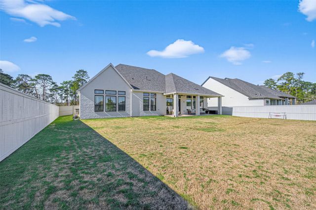 175 Shoveler Duck Way, Magnolia, TX 77354