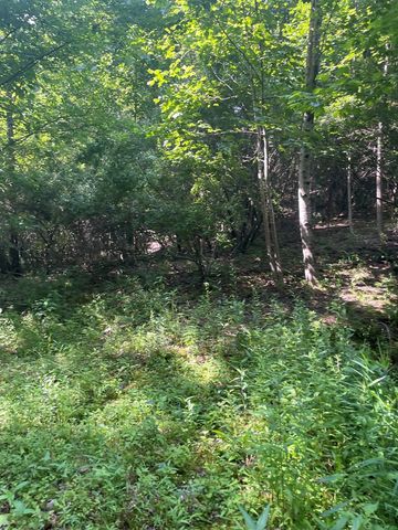 00 Hidden Lakes Road, Topton, NC 28781