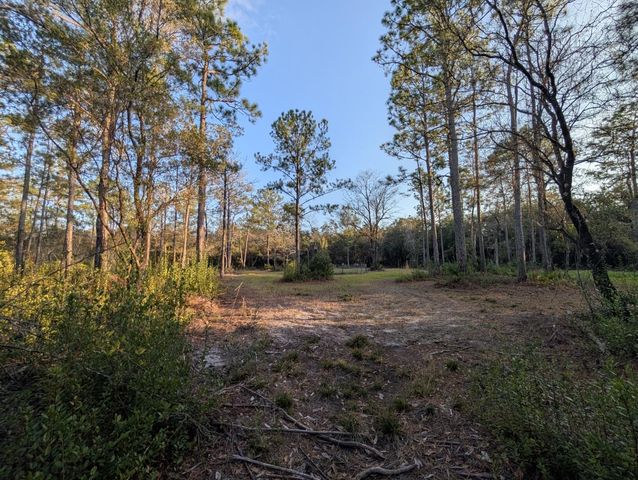 TBD Sowell Drive, Crestview, FL 32539