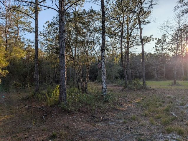 TBD Sowell Drive, Crestview, FL 32539
