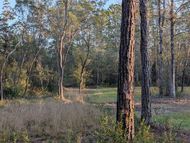 TBD Sowell Drive, Crestview, FL 32539