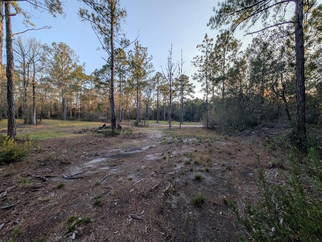 TBD Sowell Drive, Crestview, FL 32539