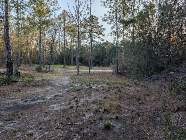 TBD Sowell Drive, Crestview, FL 32539