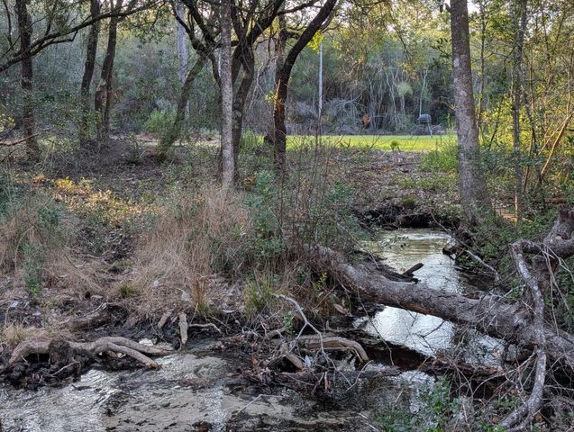 TBD Sowell Drive, Crestview, FL 32539