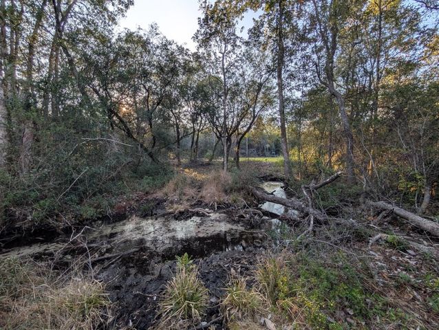 TBD Sowell Drive, Crestview, FL 32539