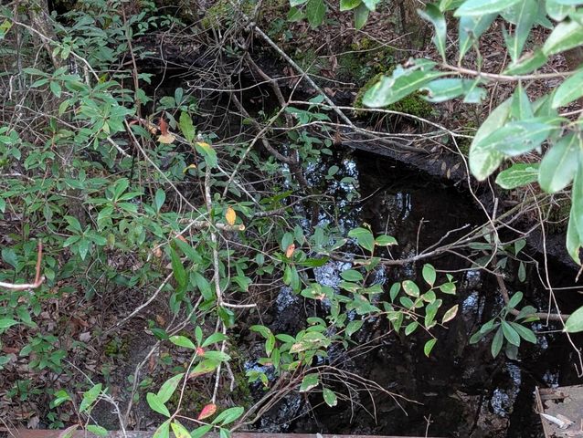 TBD Sowell Drive, Crestview, FL 32539