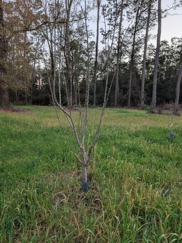 TBD Sowell Drive, Crestview, FL 32539