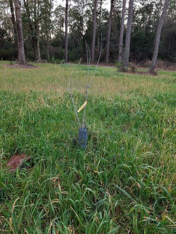 TBD Sowell Drive, Crestview, FL 32539