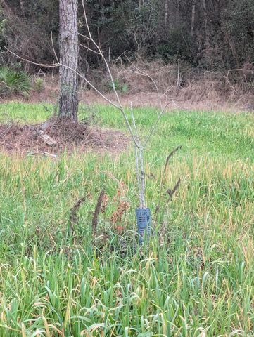 TBD Sowell Drive, Crestview, FL 32539