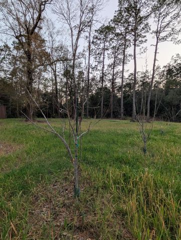 TBD Sowell Drive, Crestview, FL 32539