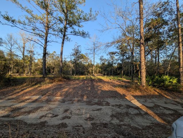 TBD Sowell Drive, Crestview, FL 32539