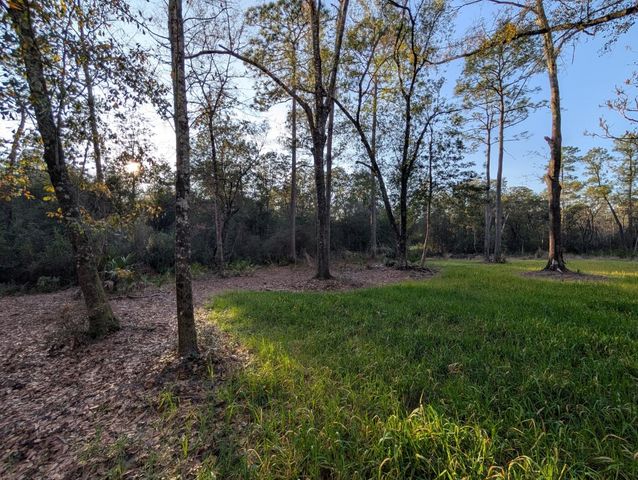 TBD Sowell Drive, Crestview, FL 32539