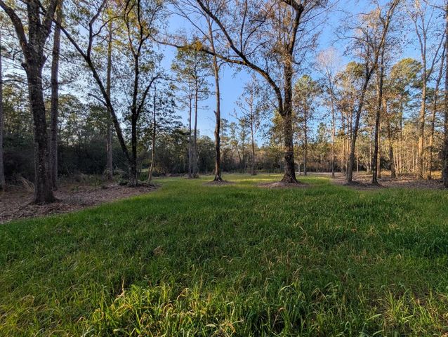 TBD Sowell Drive, Crestview, FL 32539