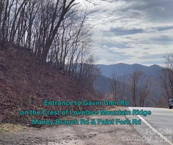 125 Gavin Glen Road, Weaverville, NC 28787