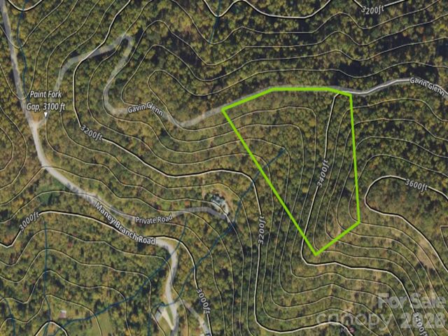 125 Gavin Glen Road, Weaverville, NC 28787