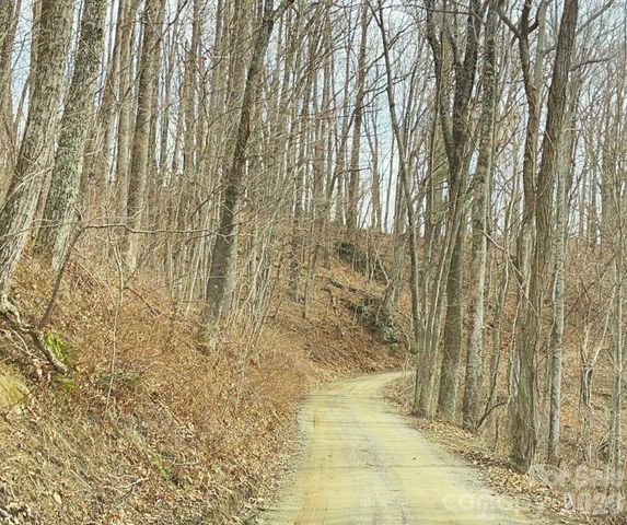 125 Gavin Glen Road, Weaverville, NC 28787