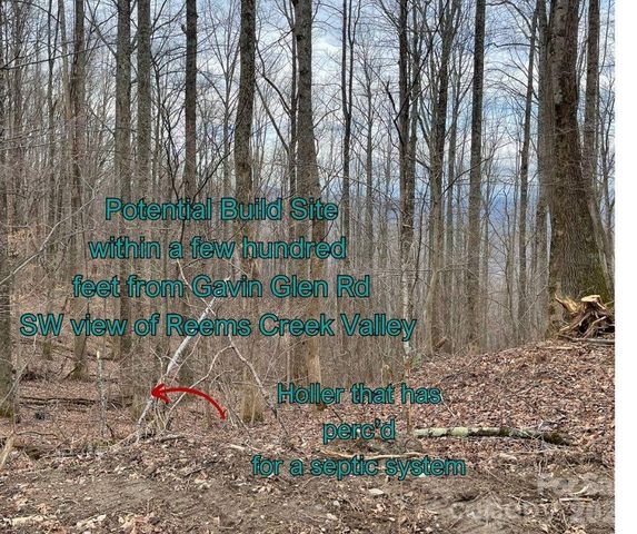 125 Gavin Glen Road, Weaverville, NC 28787