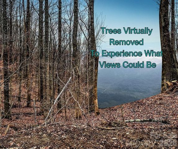 125 Gavin Glen Road, Weaverville, NC 28787