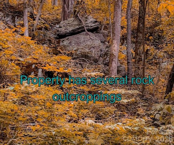 125 Gavin Glen Road, Weaverville, NC 28787