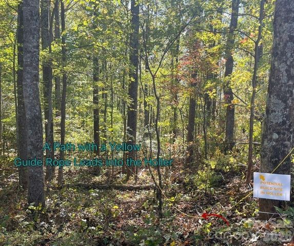 125 Gavin Glen Road, Weaverville, NC 28787