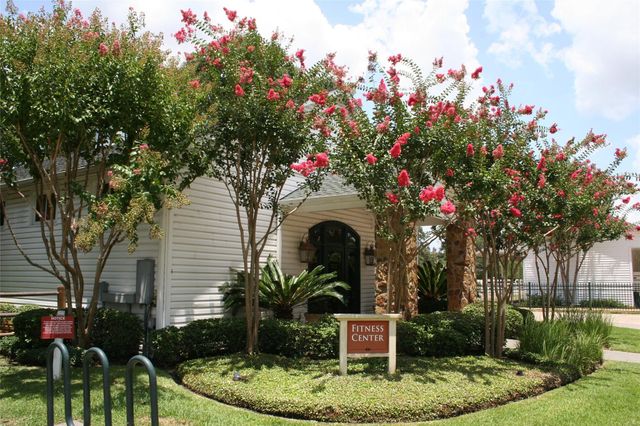 9003 Gardenia Medow Lane, Spring, TX 77379