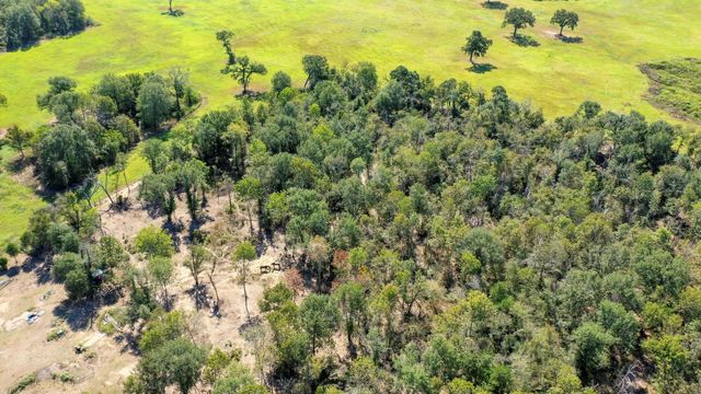 9486 Puddin Lane, Madisonville, TX 77864