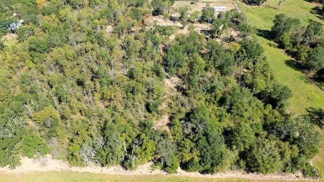 9486 Puddin Lane, Madisonville, TX 77864