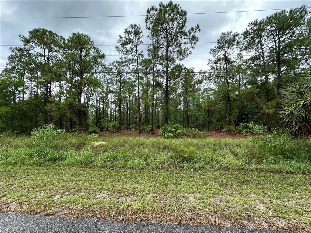 1103 Thompson AVE, LEHIGH ACRES, FL 33972 — photo 4