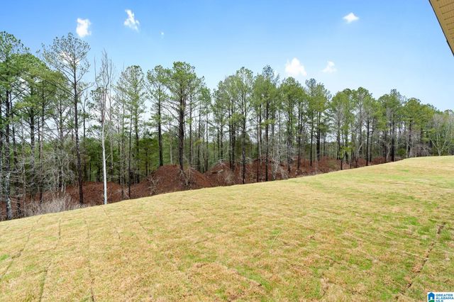 3040 EAST MIDDLEBROOKE CROSSING, Odenville, AL 35120