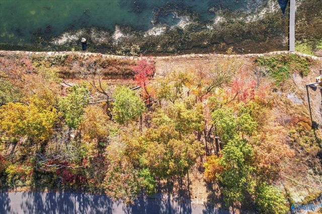 572 Reserve Drive, Guntersville, AL 35976