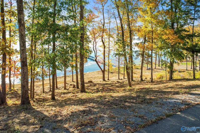 572 Reserve Drive, Guntersville, AL 35976