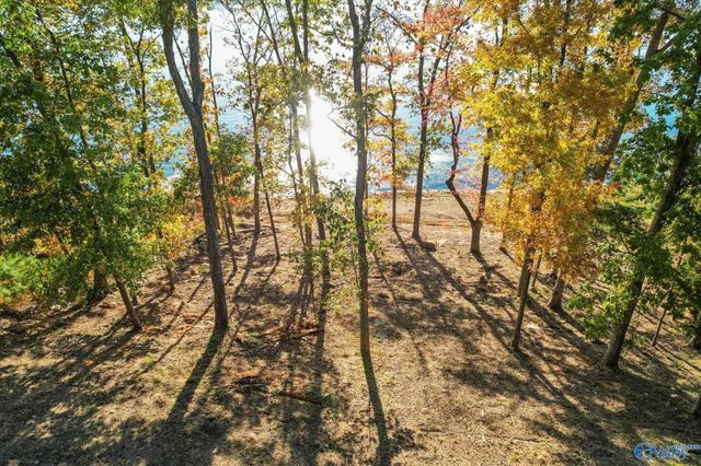 572 Reserve Drive, Guntersville, AL 35976