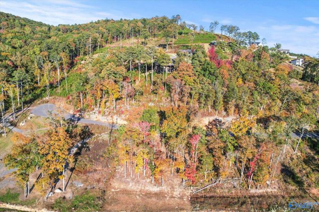 572 Reserve Drive, Guntersville, AL 35976