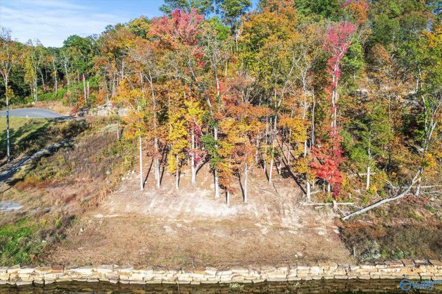 572 Reserve Drive, Guntersville, AL 35976