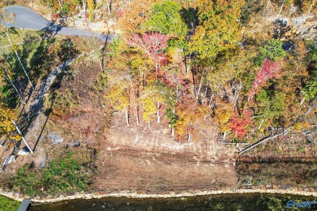 572 Reserve Drive, Guntersville, AL 35976