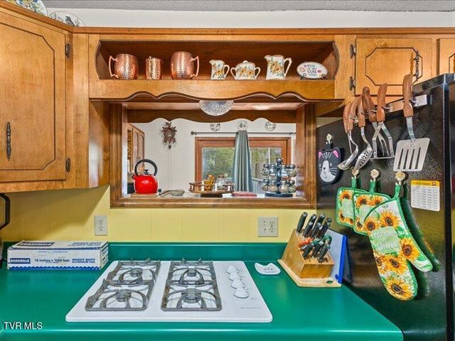 814 Dogwood Drive, Erwin, TN 37650