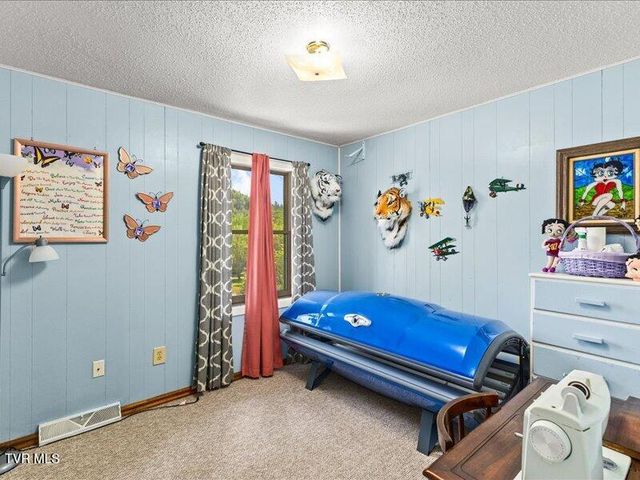 814 Dogwood Drive, Erwin, TN 37650