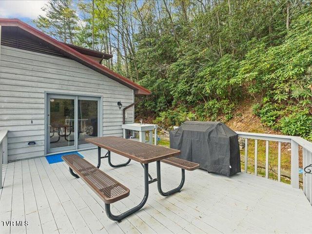 814 Dogwood Drive, Erwin, TN 37650